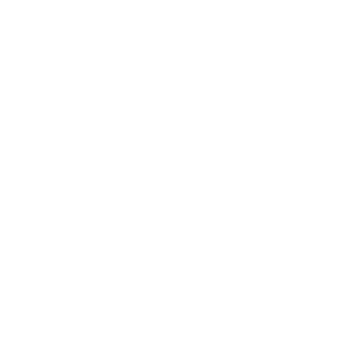 Top_Gadget_Info_Security_Privacy_Icon_Thin_IMG_PNG